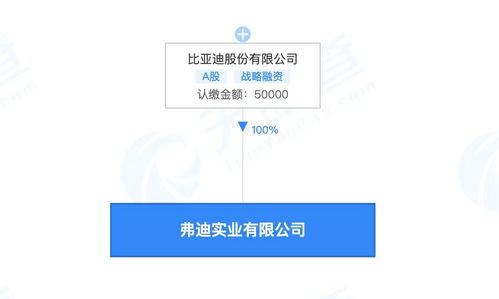 比亚迪成立弗迪实业，布局人工智能软件与基础开发